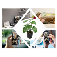 KAMERA WIFI DYSKRETNIE UKRYTA W KWIATKU DETEKCJA RUCHU OBRAZ NA ŻYWO FullHD