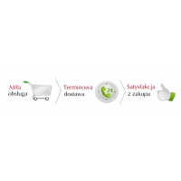 ADAPTER SIECIOWY PRZEJŚCIÓWKA Europa Polska-USA/UK