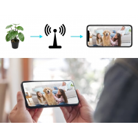 KAMERA WIFI DYSKRETNIE UKRYTA W KWIATKU DETEKCJA RUCHU OBRAZ NA ŻYWO FullHD