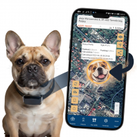 LOKALIZATOR GPS DLA PSA KOTA OBROŻA BEZ ABONAMENTU POLSKA APP GWA. 2 LATA