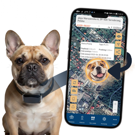 LOKALIZATOR GPS DLA PSA KOTA OBROŻA BEZ ABONAMENTU POLSKA APP GWA. 2 LATA